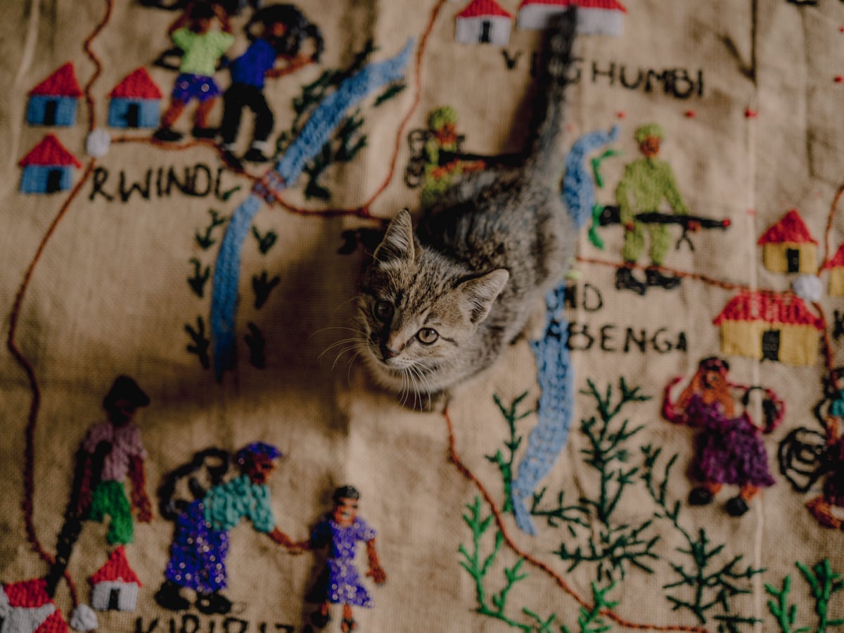 A kitten looks up at the camera from a tapestry showing soldiers with guns and civilians. 