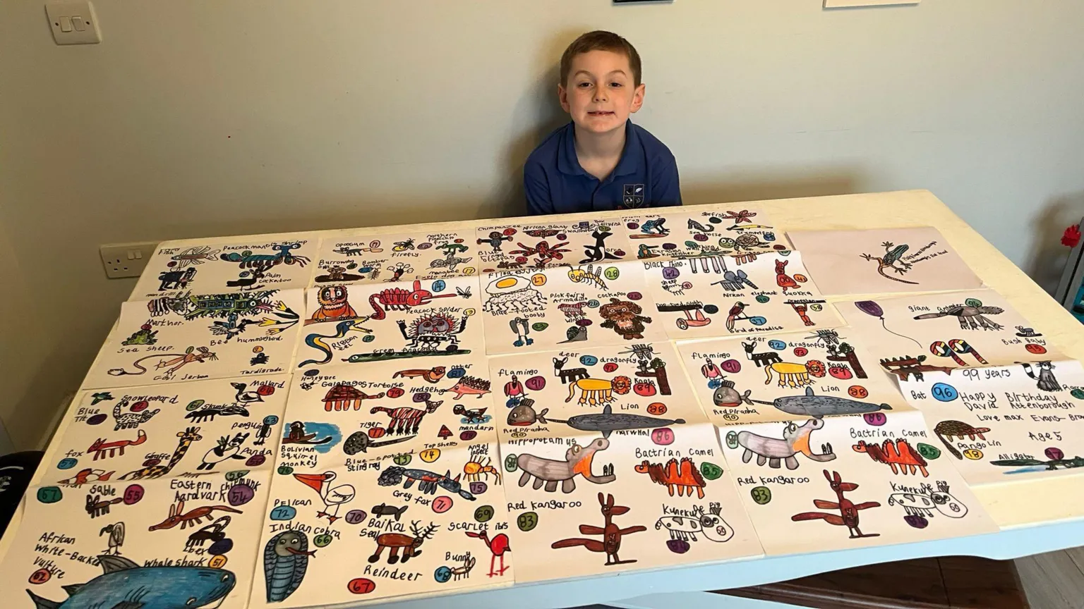 Max Evans-Browning Max Evans Browning sits behind a table which is covered in 18 pages of animal drawings. He smiles for the photo. 