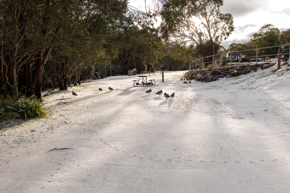 Thredbo