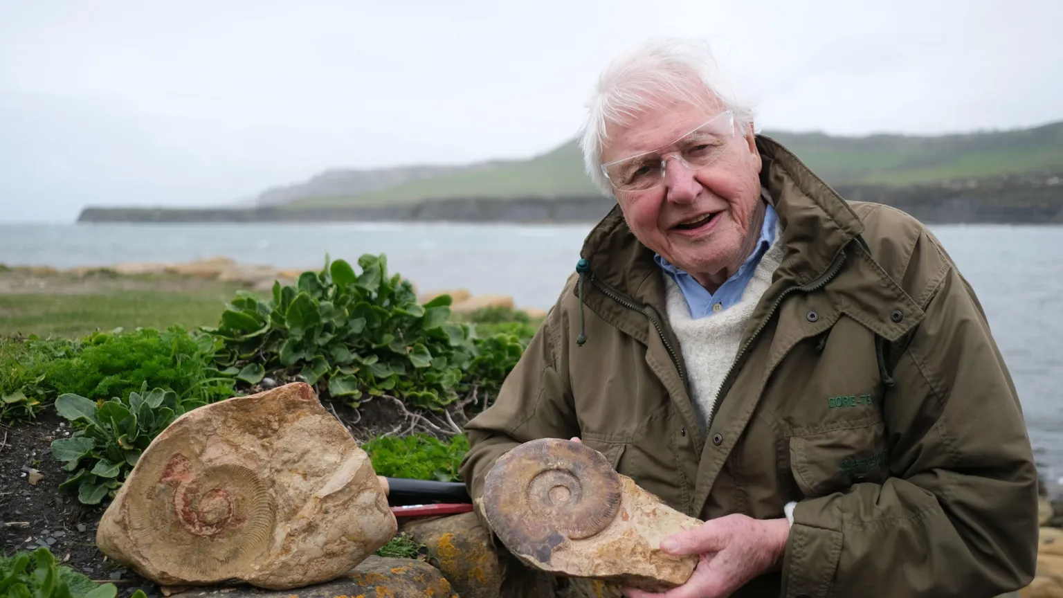 Sir David Attenborough, wearing a large green coat over a white jumper and blue collared shirt, stands on the edge of what appears to be an estuary. He is holding a fossil, shaped like the shell of a snail, in his hand. He is wearing some clear safety glasses. 