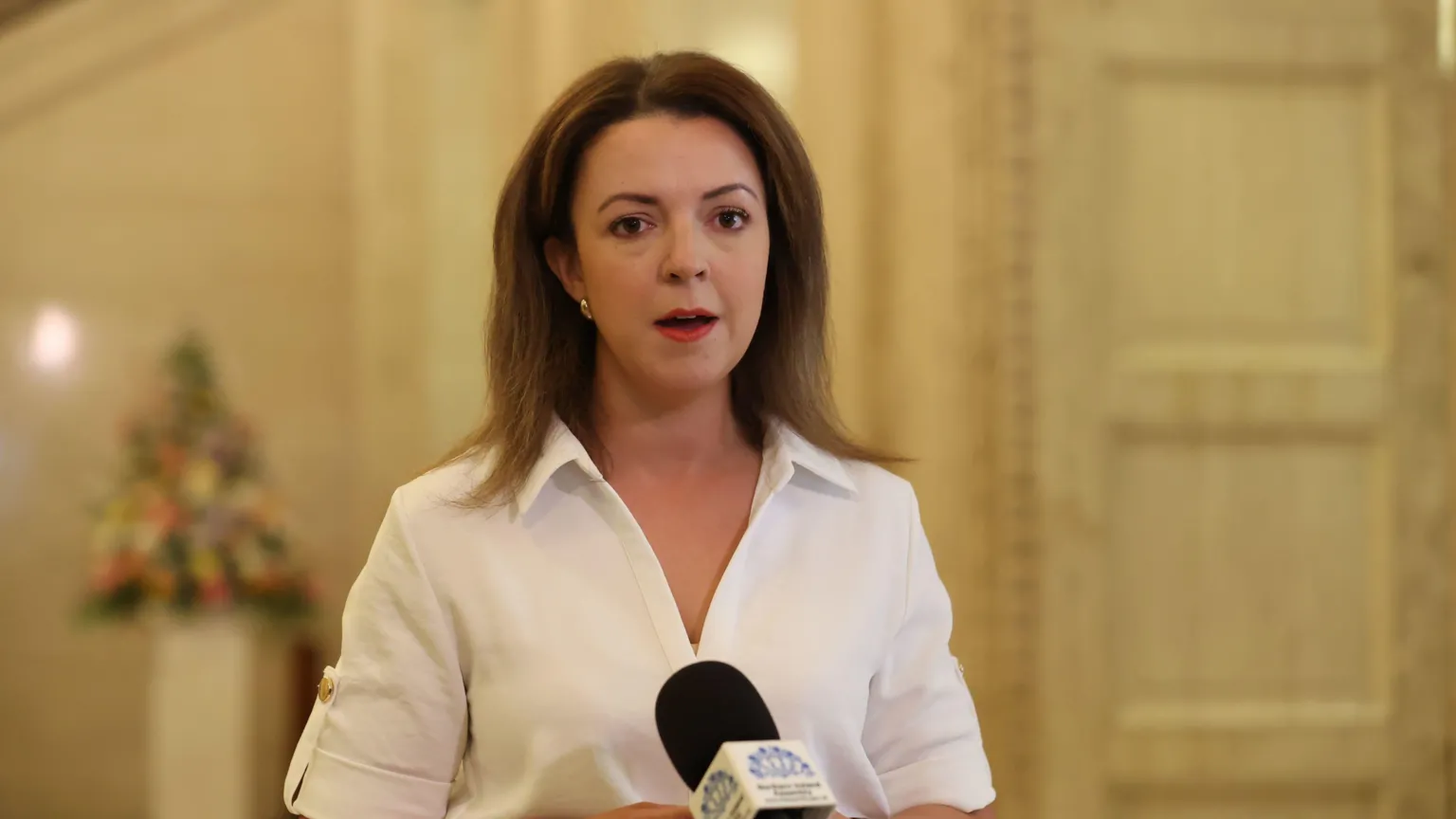  Infrastructure Minister Liz Kimmins pictured at Parliament Buildings, Stormont