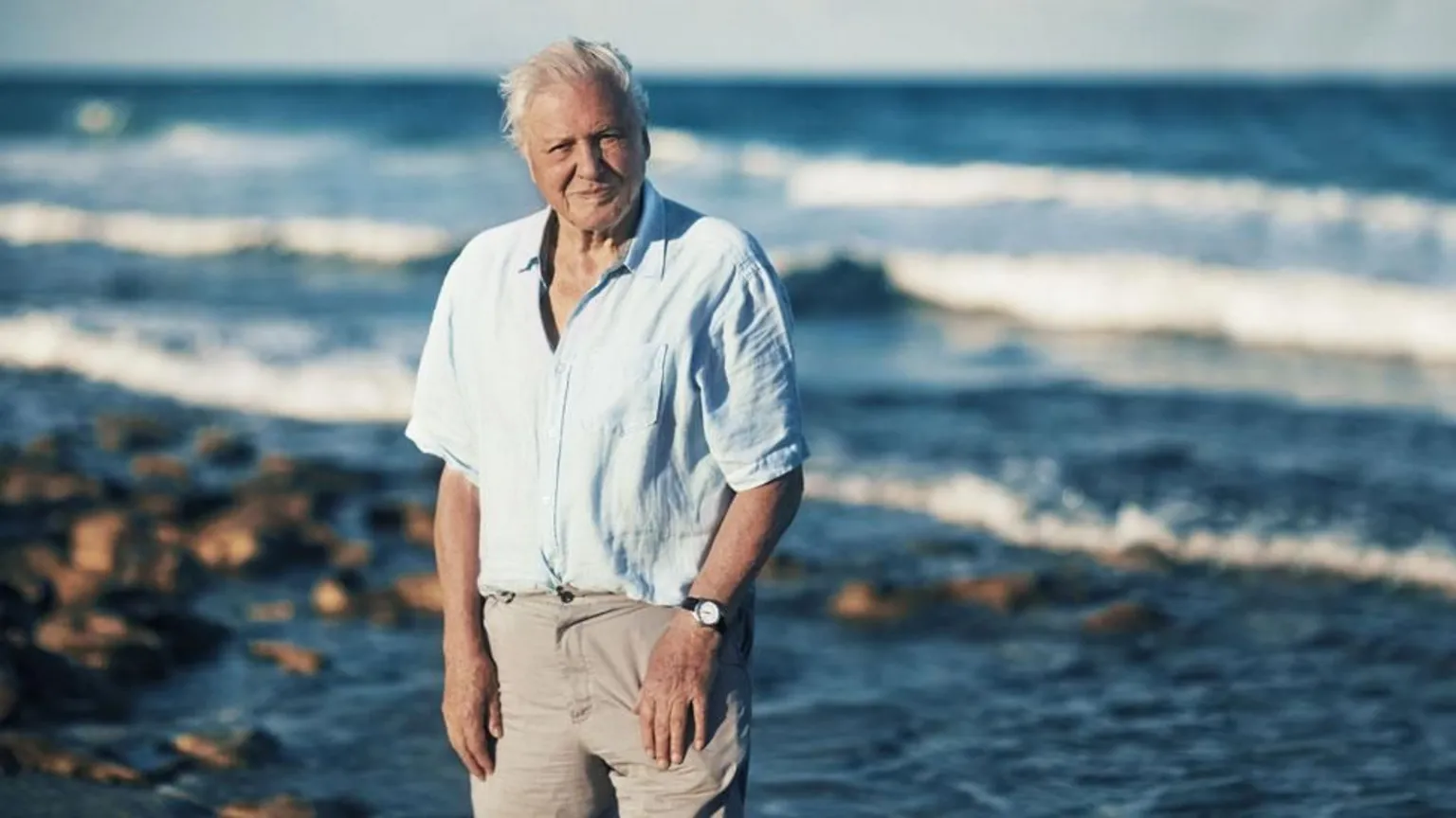David Attenborough standing in front of a beach on a coast.