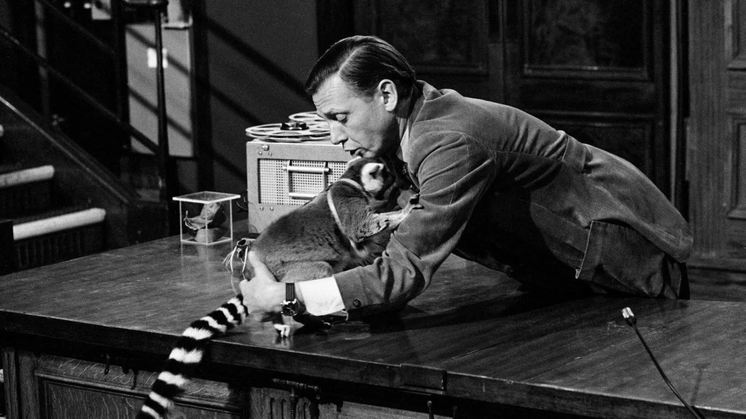 An black and white image of David on a tv set. It looks as if he is picking up a small monkey which is sat on a desk.