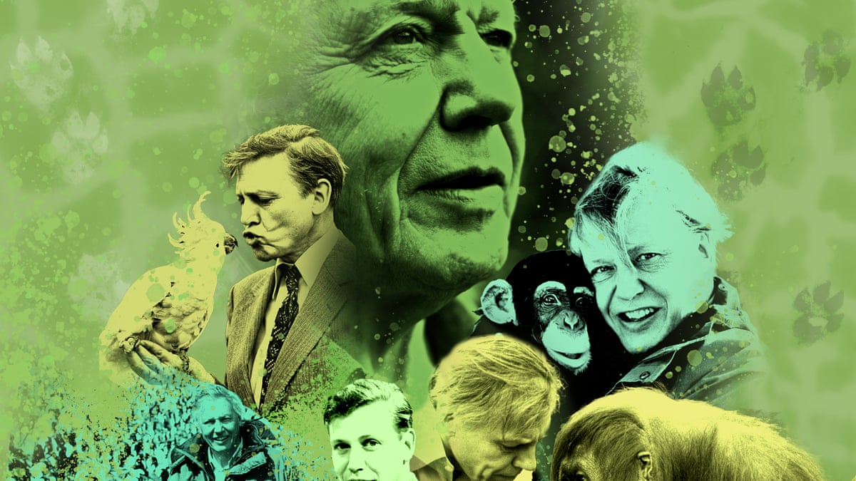 David Attenborough composite illustration with pictures of him at different phases of his life