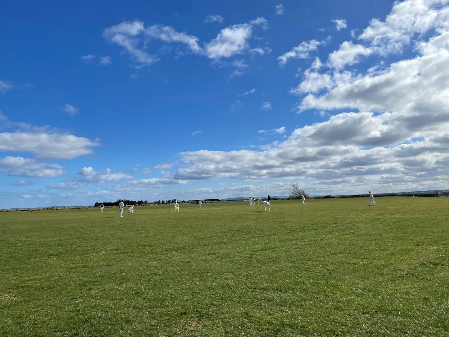 George Webster A game of cricket being played in a large grassy field as the sun shines down