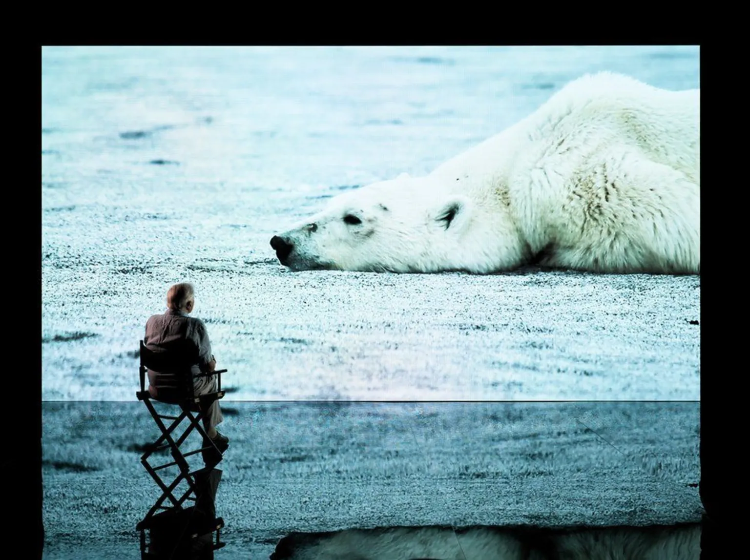 Alex Board Sir David Attenborough sitting in a chair in front of a large screen showing an image of a polar bear