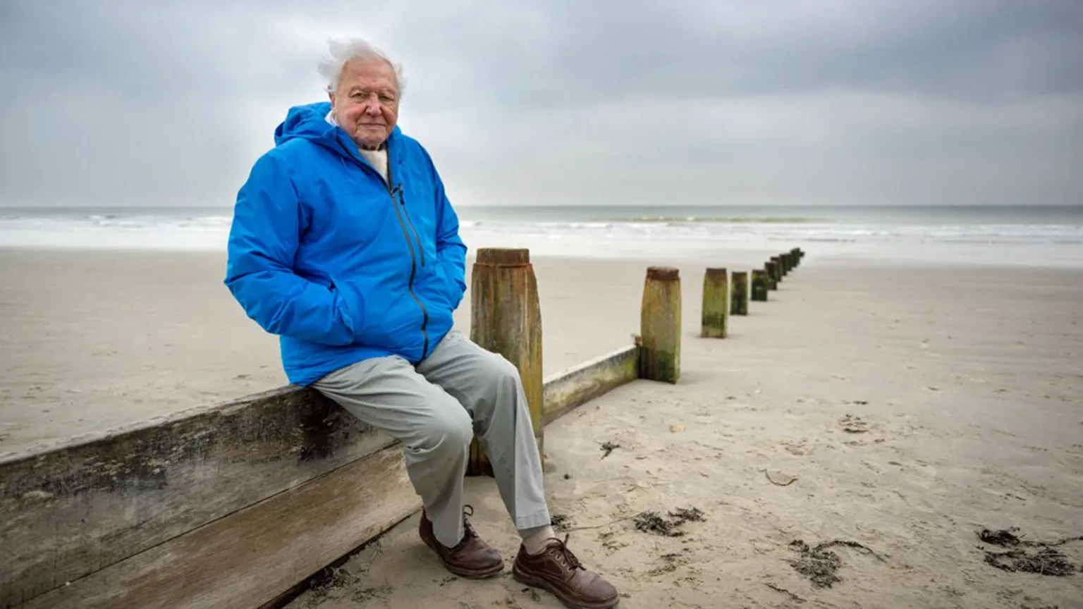 Conor McDonnell Sir David Attenborough sitting on a wooden wall on a beach