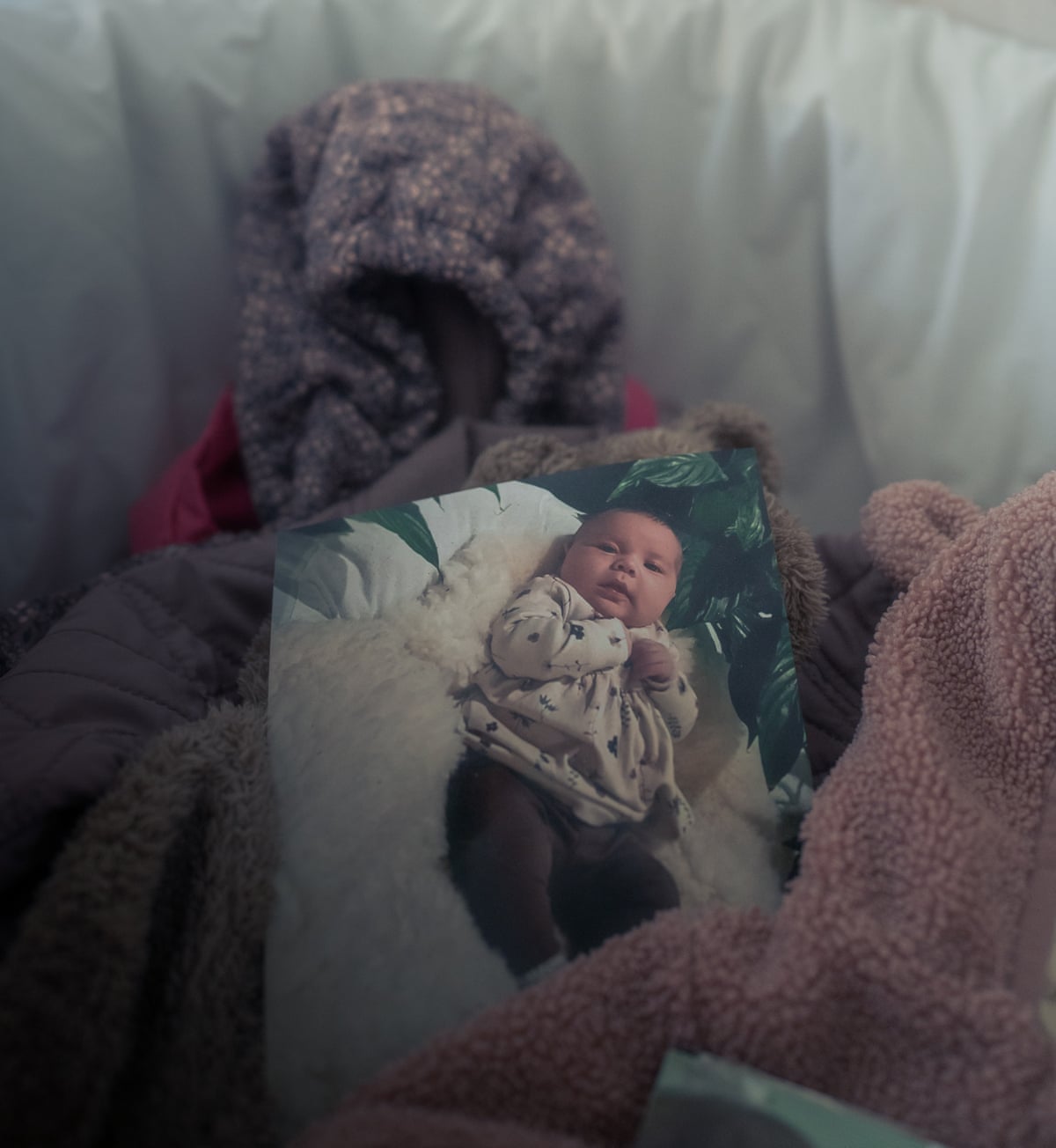 A photo of Zammi in the cradle Kronvold had prepared for her.