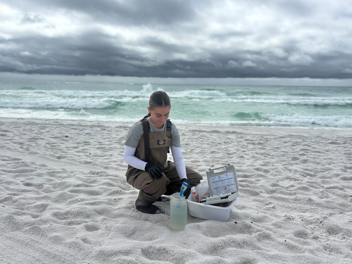 Natalie Larsen, a member of the Vibrio surveillance research team, gathers seawaters samples from Florida’s Pensacola Beach.