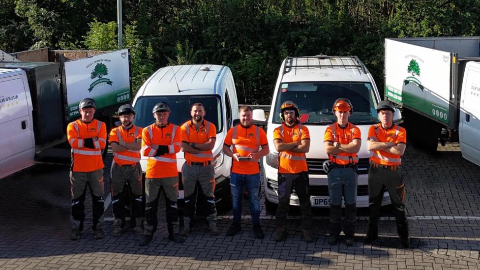 Gweithwyr DLM Tree Services mewn gwisg gwaith oren hi-vis o flaen faniau gwyn y cwmni