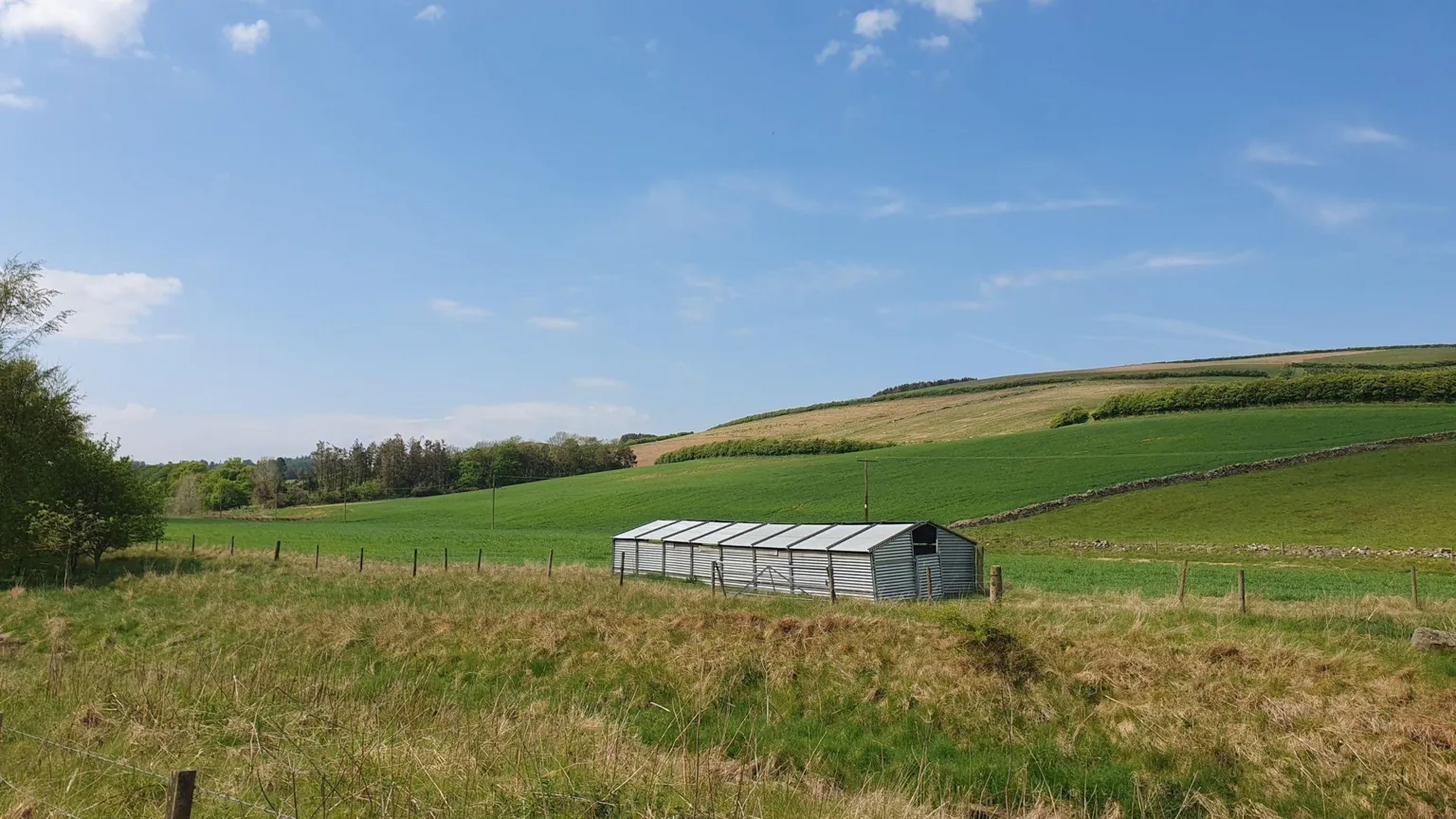 LDRS A grassy hill, with some trees and hedges in the background. The sky is blue with a few scattered clouds. There is what looks like a large greenhouse in the middle of the picture. 
