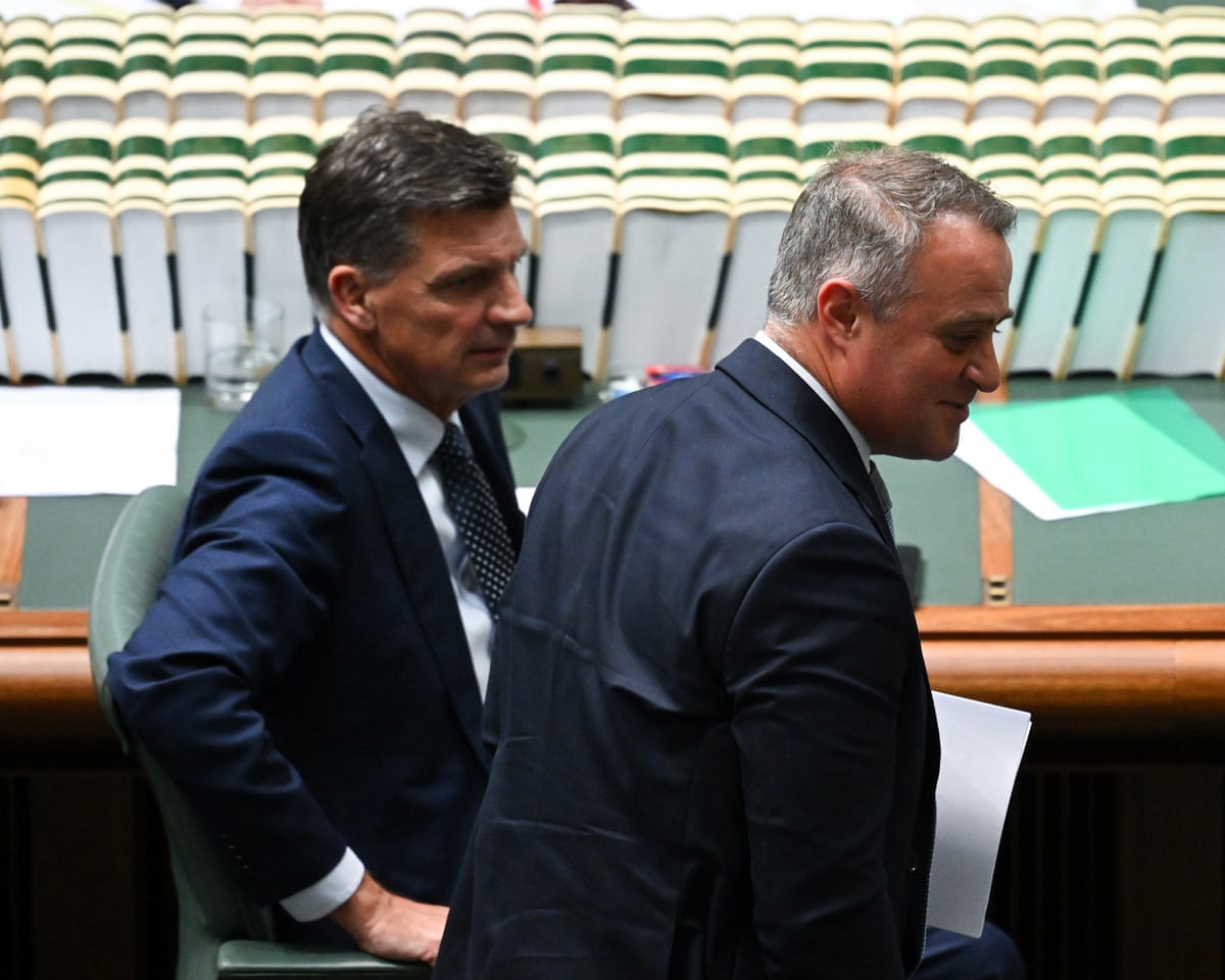 The opposition leader, Angus Taylor, and the shadow treasurer, Tim Wilson.