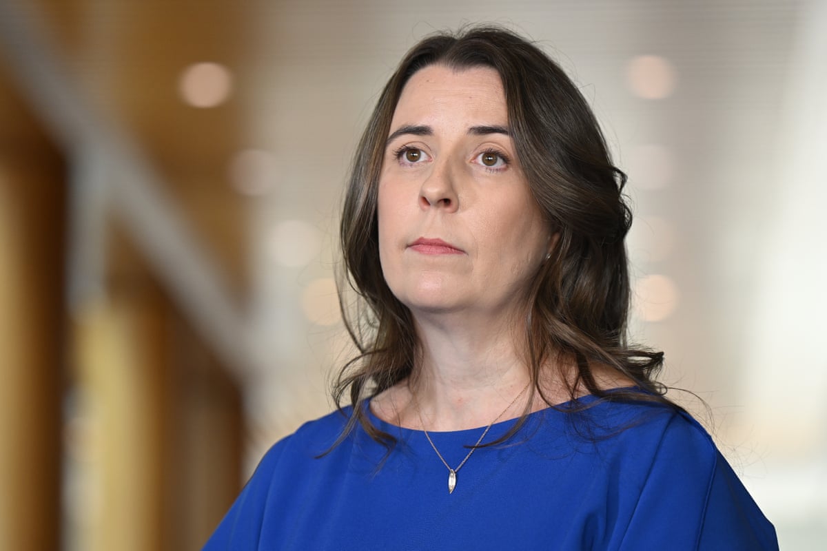 The Australian Medical Association president, Danielle McMullen.