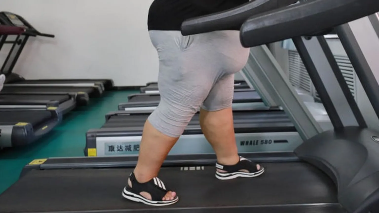 An overweight woman wearing grey shorts and a black T-shirt walks on a treadmill in a gym.