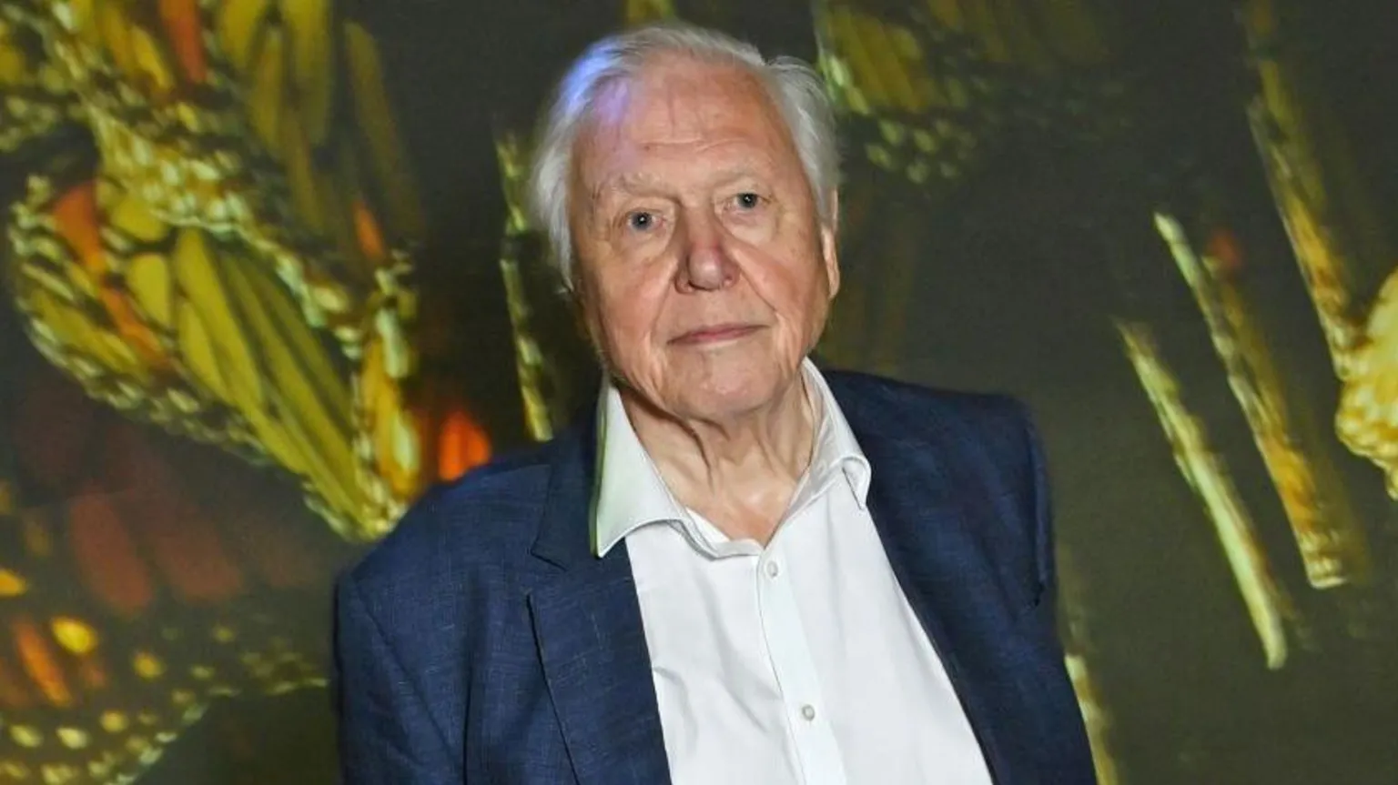  David Attenborough