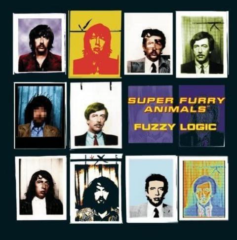 fuzzy logic
