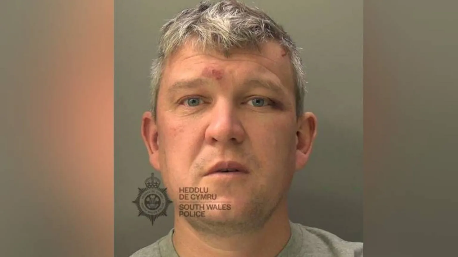 South Wales Police A mugshot of a man with grey hair looking at the camera