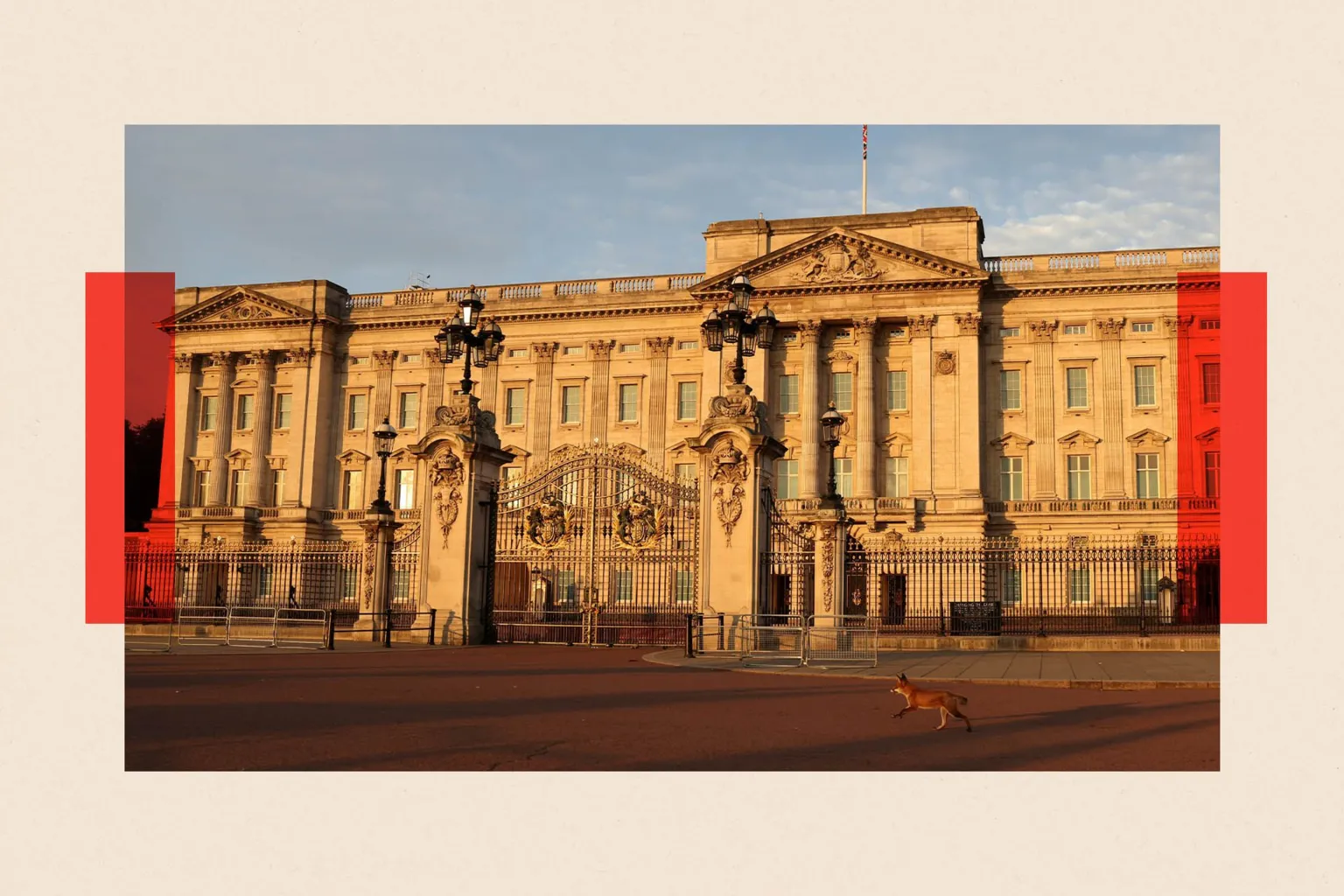  A fox runs past the Buckingham Palace 