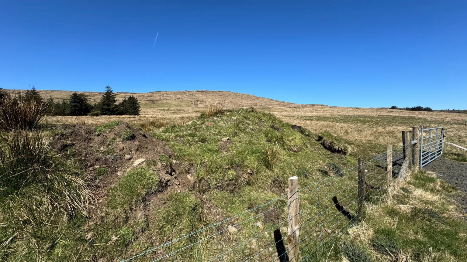 An area of green peatland and yellow-ish grassland behind a wire fence. 