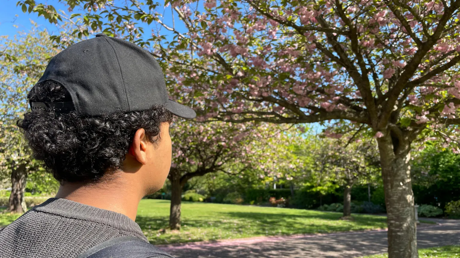 Jordan looks to the right of the frame at the blossom trees. Jordan has thick black curly hair, is wearing a black jumper and a black cap. In the background, a path is visible.
