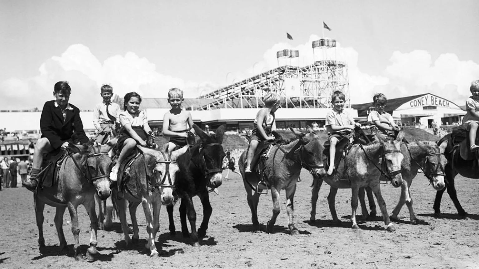  Eight donkeys with children on their backs in a black and white photograph dating from 1951. They are on the sand on Coney Beach, Porthcawl, with the fairground including the water chute ride visible in the background.