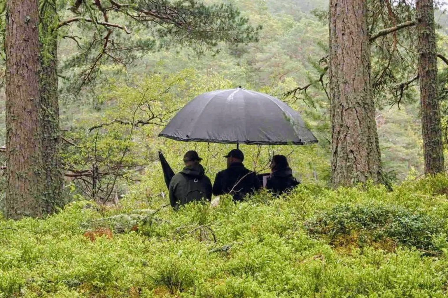 David Hatton Three people under a black umbrella in amongst trees and green foliage.