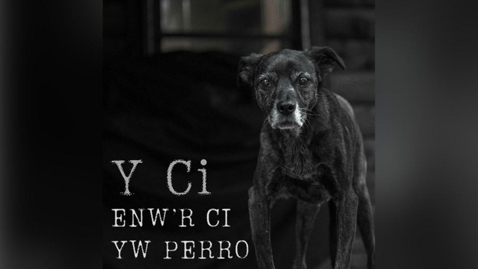Albwm Enw'r Ci yw Perro