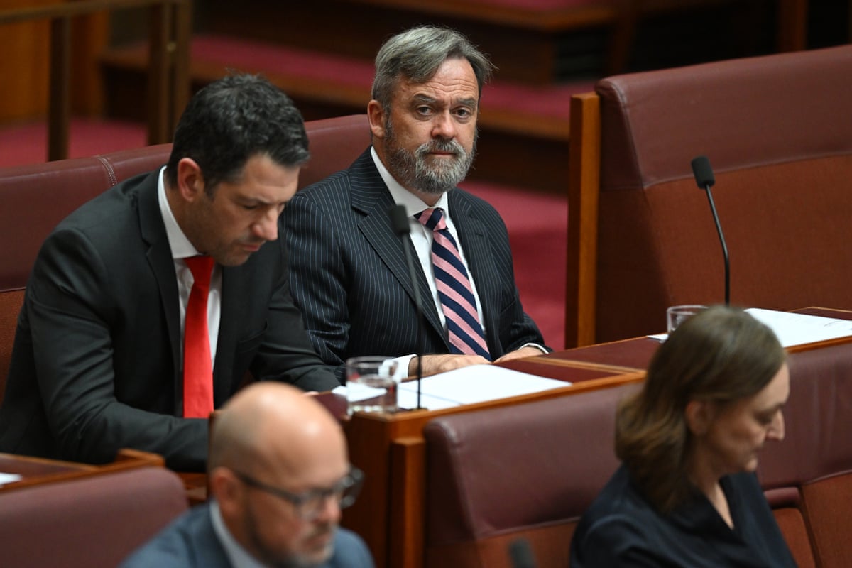 Liberal senator Andrew McLachlan