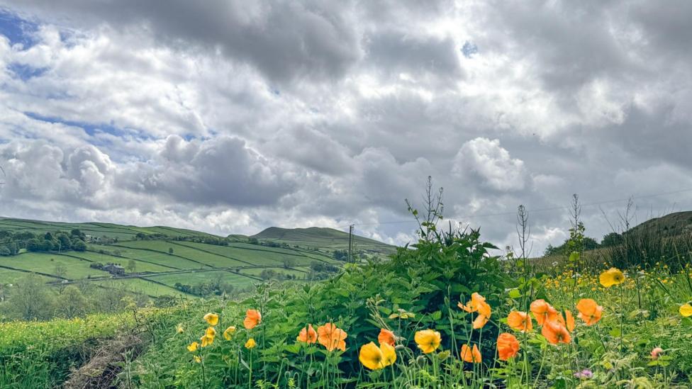 Cloudy skies and a countryside view with rolling fields and yellow and orange poppies in the foreground.