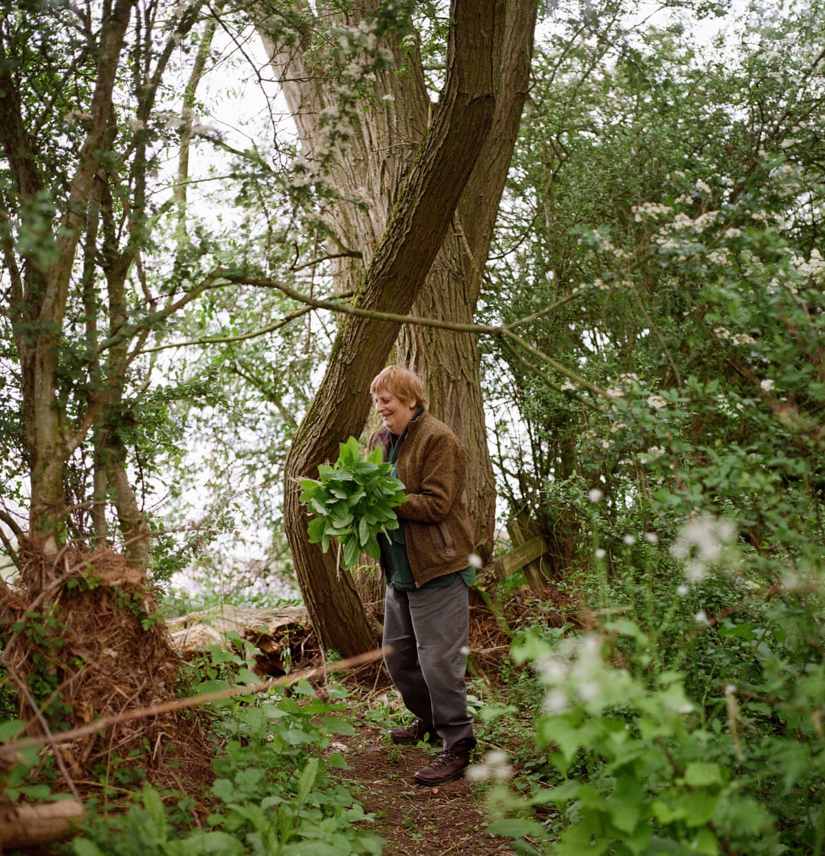 A woman with short red hair holds plants in her arms with a large tree behind her