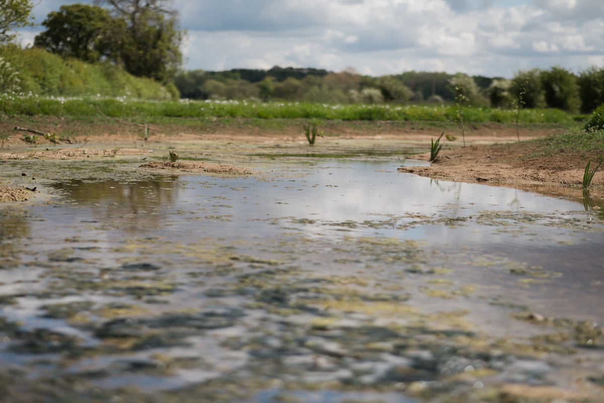 Shallow water seem among farmland