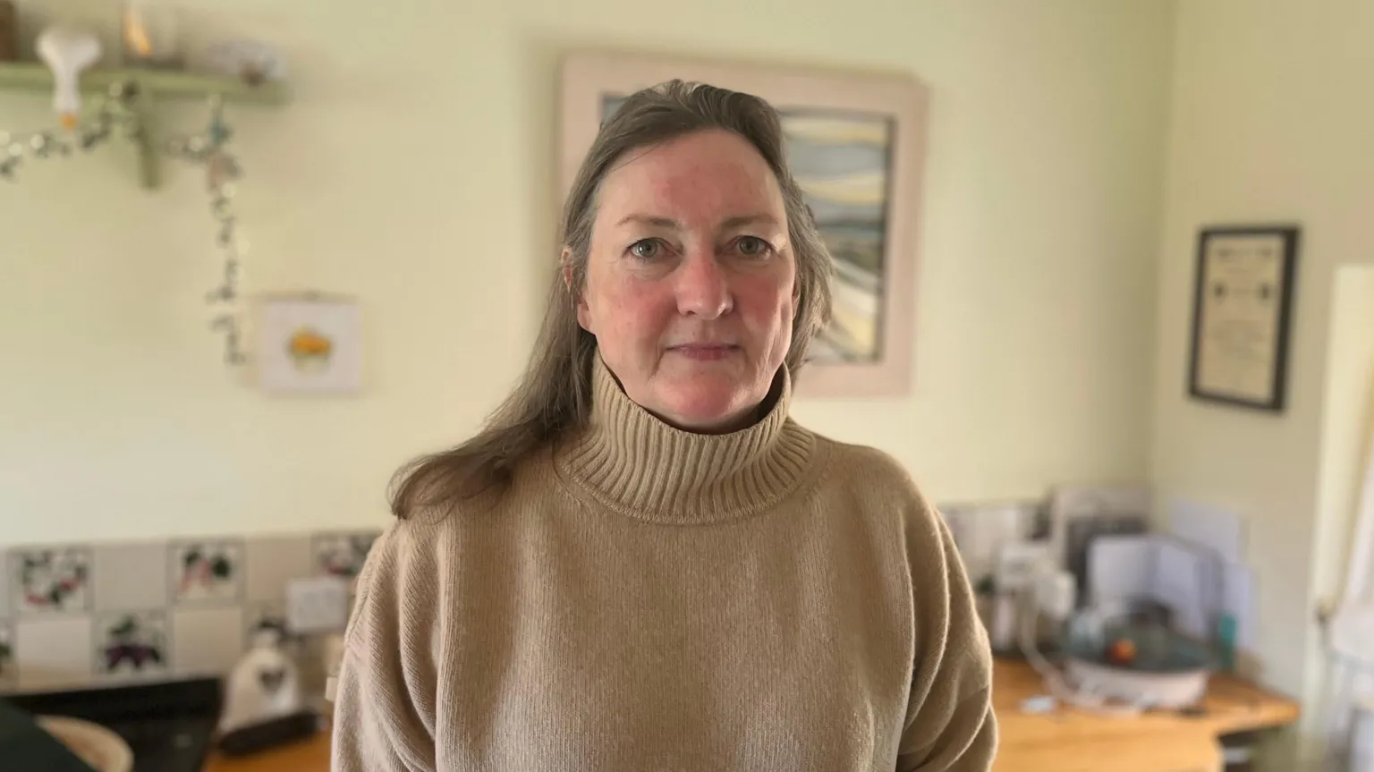 A woman with long brown hair looks at the camera