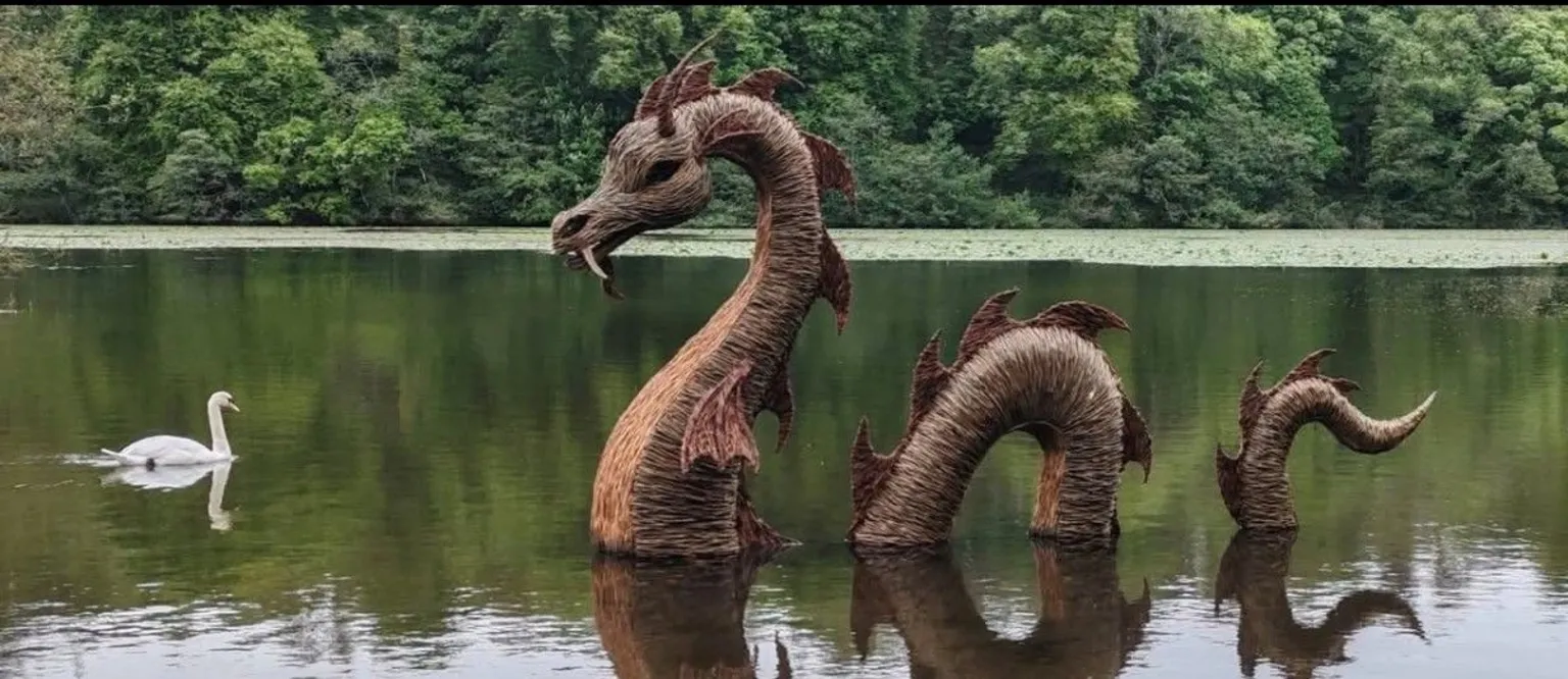 Colin Knox Large Loch Ness monster sculpture rising from calm water in a lake, with a white swan swimming nearby and dense green trees lining the far shore.