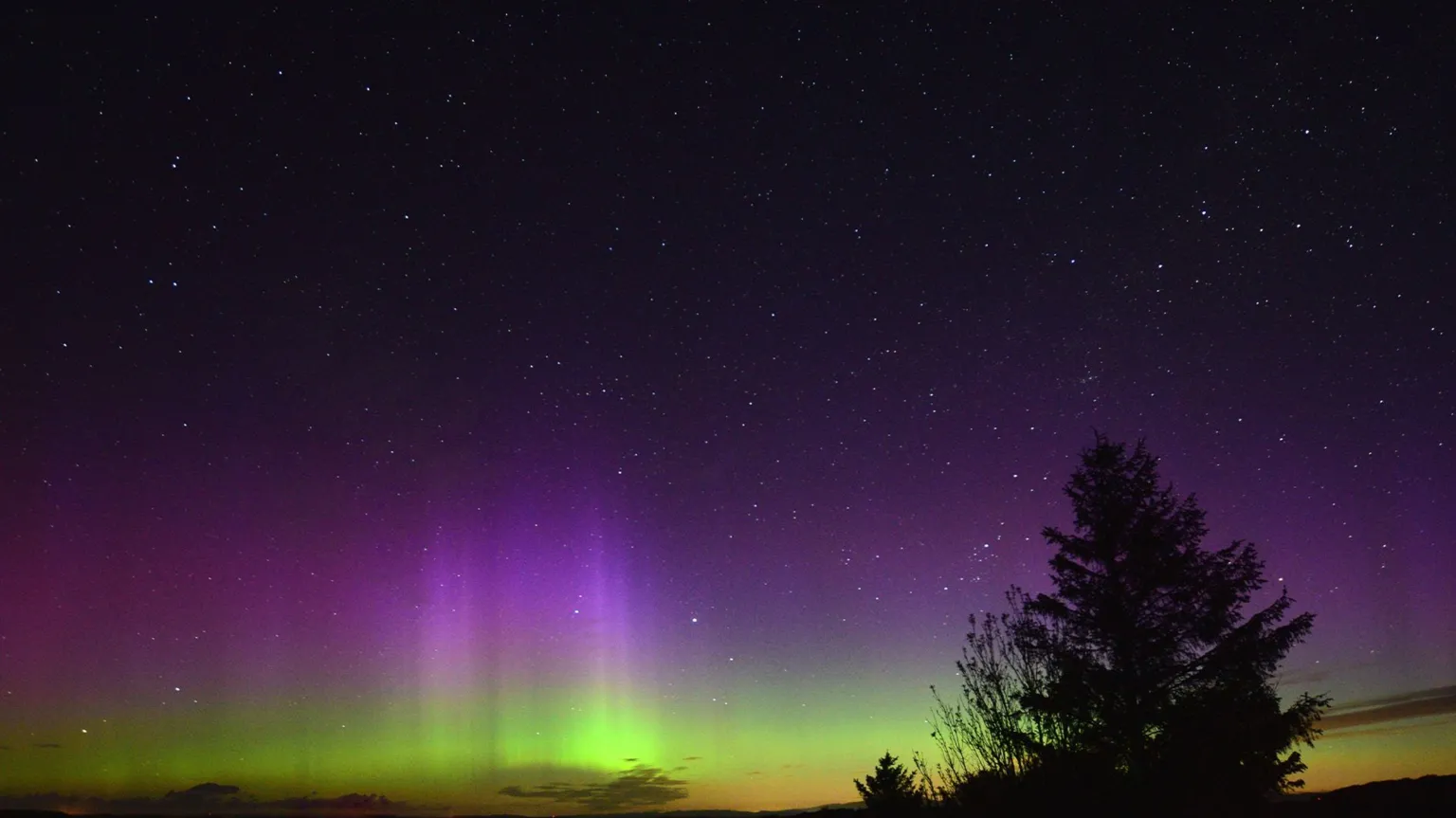 Mike Alexander Northern lights glowing in green and purple over a dark landscape, with bright stars visible in the night sky and the silhouette of a tall tree in the foreground