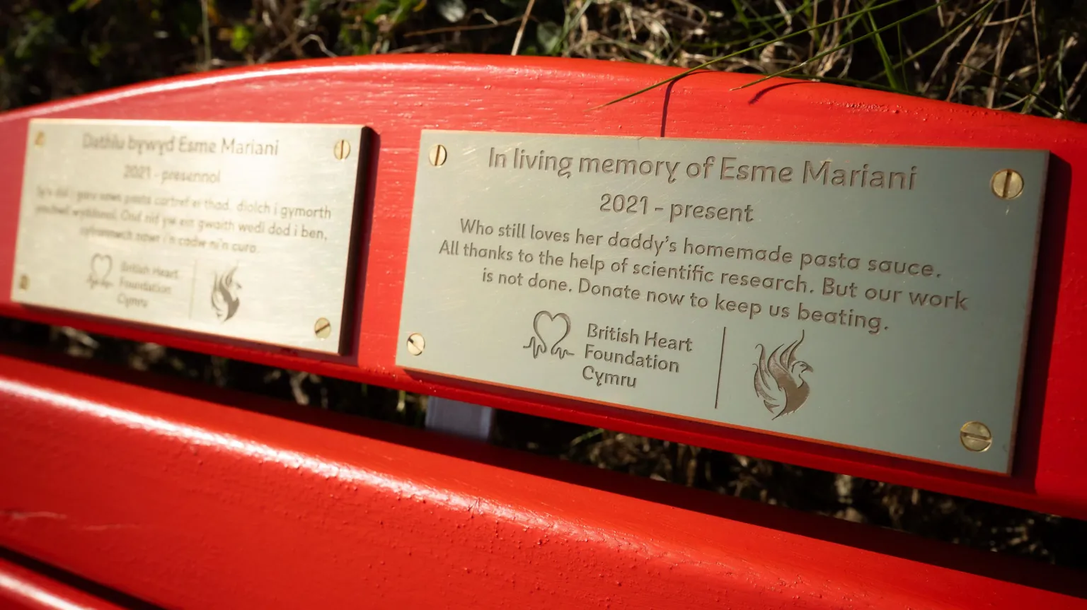British Heart Foundation A close-up of two gold plaques side by side on a red bench. The one on the right is in English, with the Welsh translation on the left. They read:
