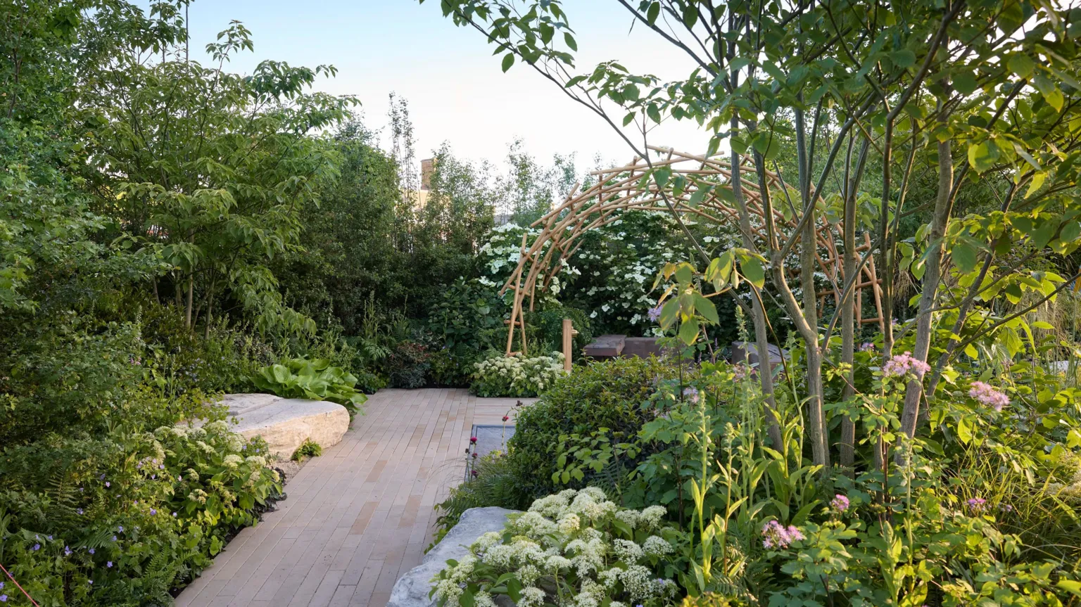 Gary Morrisroe Another view of the garden, showing a paved walkway leading to the seating area and the wooden pergola. A variety of shrubs line the walkway, including some with white and pink flowers.