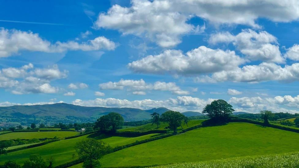 Rolling fields with blue skies and patchy cloud overhead