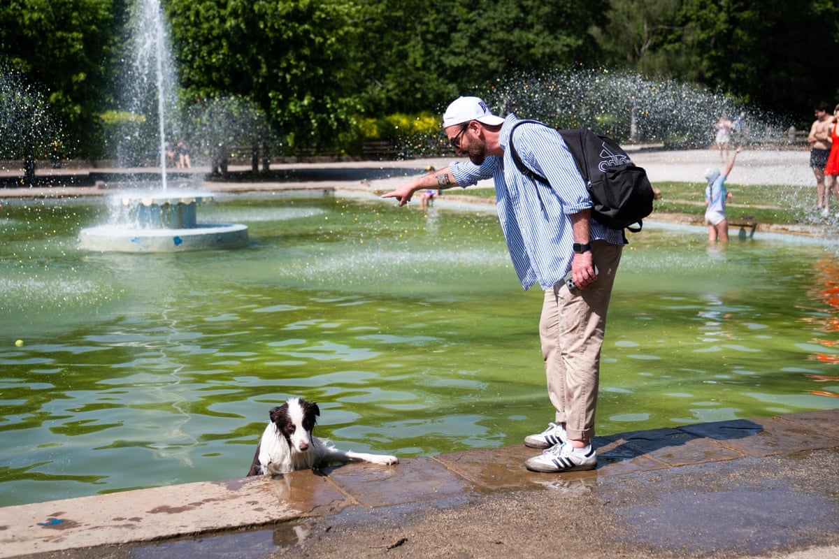 A dog cools off at water fountains in Battersea Park, south-west London.