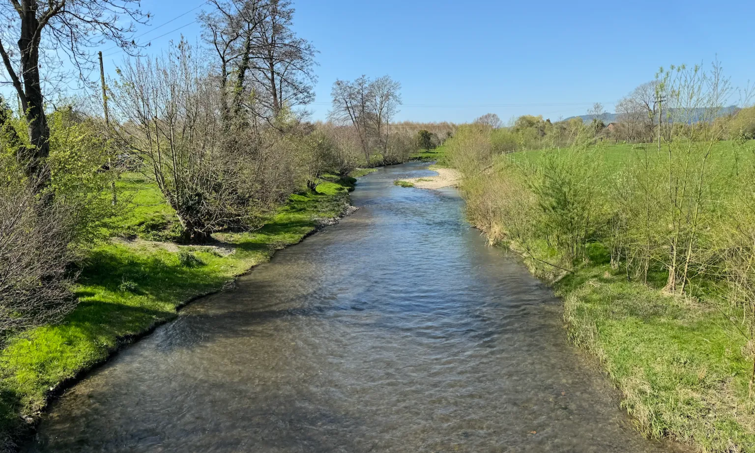 A stretch of river, with the sides straightened. Some new trees are growing on the banks. 