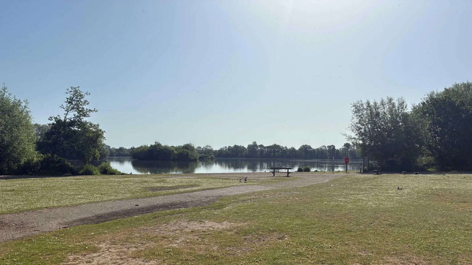 A large park with a lake in the distance. A footpath stretches towards the lake with trees either side and on the far edge of the water.