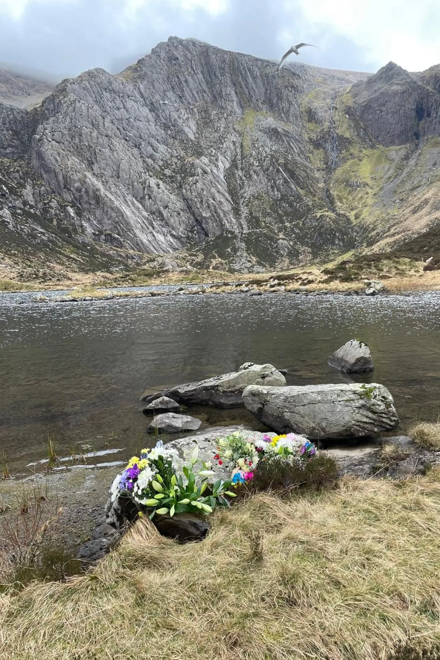 Matty Belcher | Brandan Smith Bunches of white, pink and blue flowers lay next to a clear lake among grey mountains