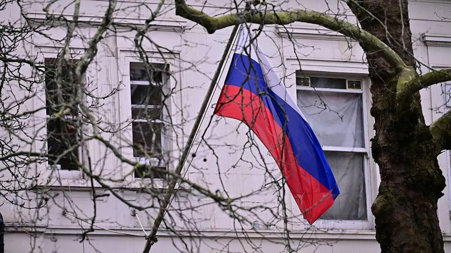  A Russian flag is visible through trees