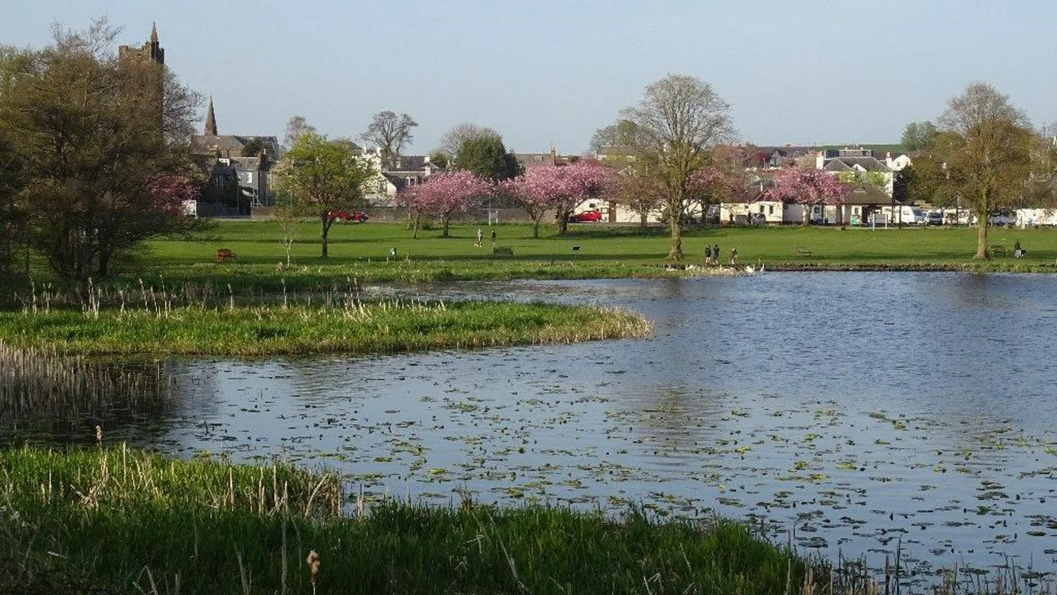 Richard Webb/Geograph Carlingwark Loch in Castle Douglas. The loch is in the foreground and a park is behind it - there are pink blossom trees. Buildings can be seen behind the trees.