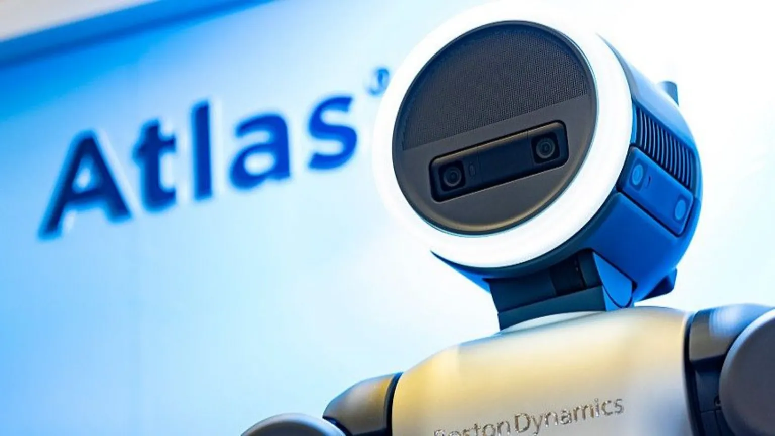 The round head of the Atlas robot looks up.