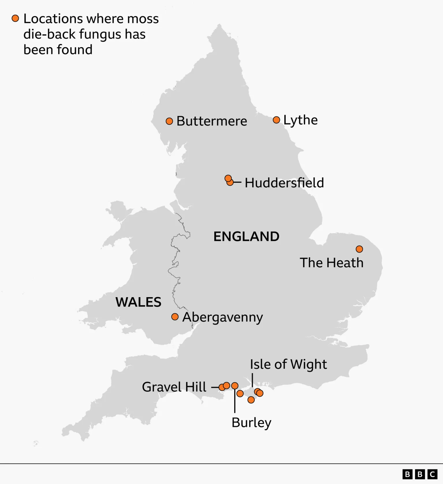 Map of England and Wales highlighting locations where moss die-back fungus has been found. Orange dots mark sites including Buttermere and Lythe in northern England, Huddersfield in central northern England, The Heath in eastern England, Abergavenny in south Wales, and a cluster of sites in southern England around Burley, Gravel Hill, and the Isle of Wight. A legend indicates that orange circles represent confirmed locations.