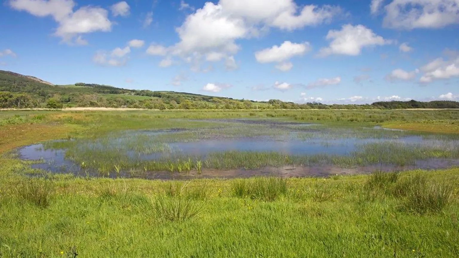  A big water pool in a grassy hillside
