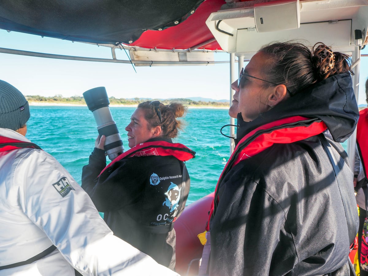 Participants in the first ever state-wide dolphin census along the NSW coast