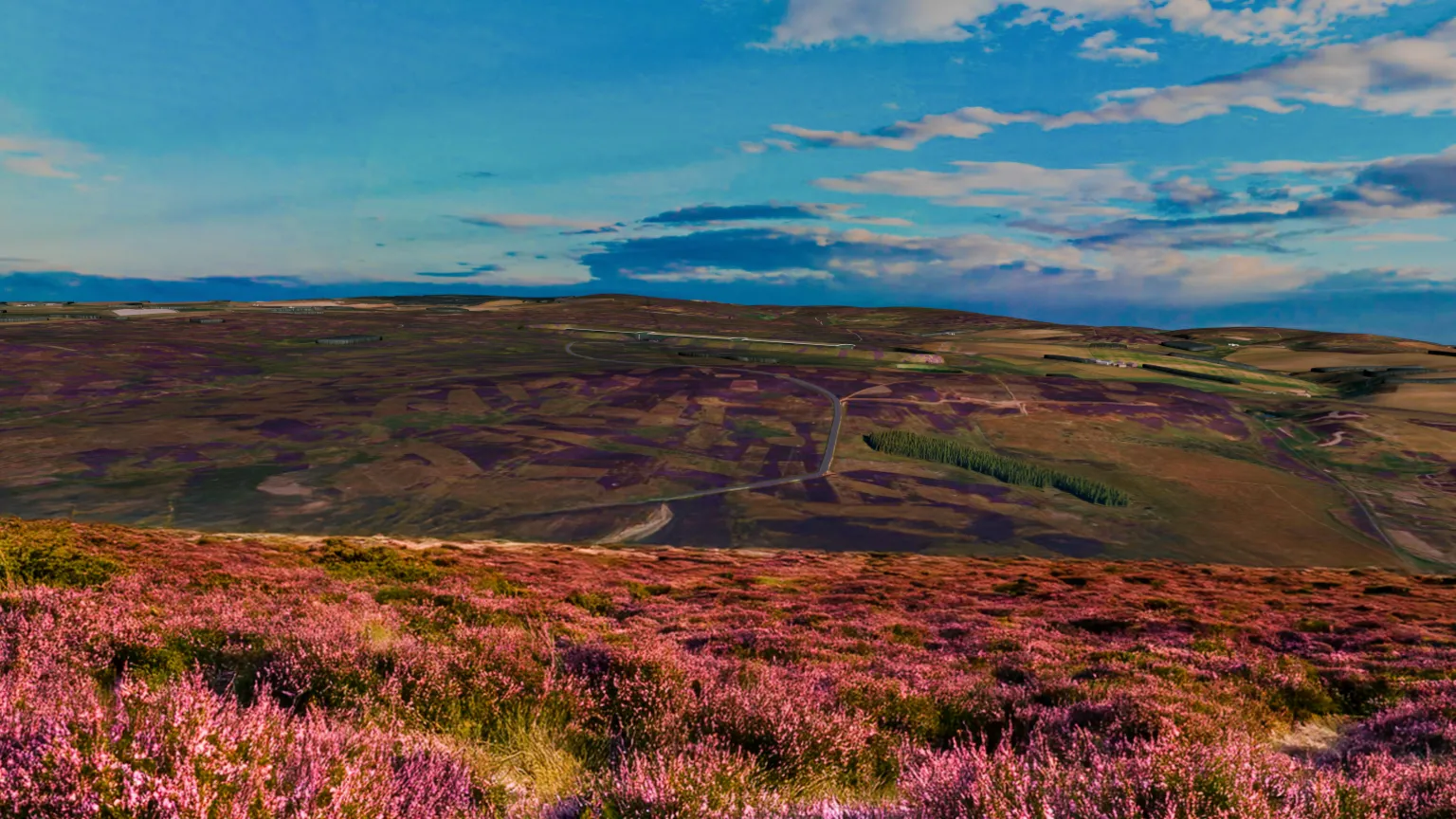SDC A computer generated view of the data centre where it is almost invisible against a moorland hillside