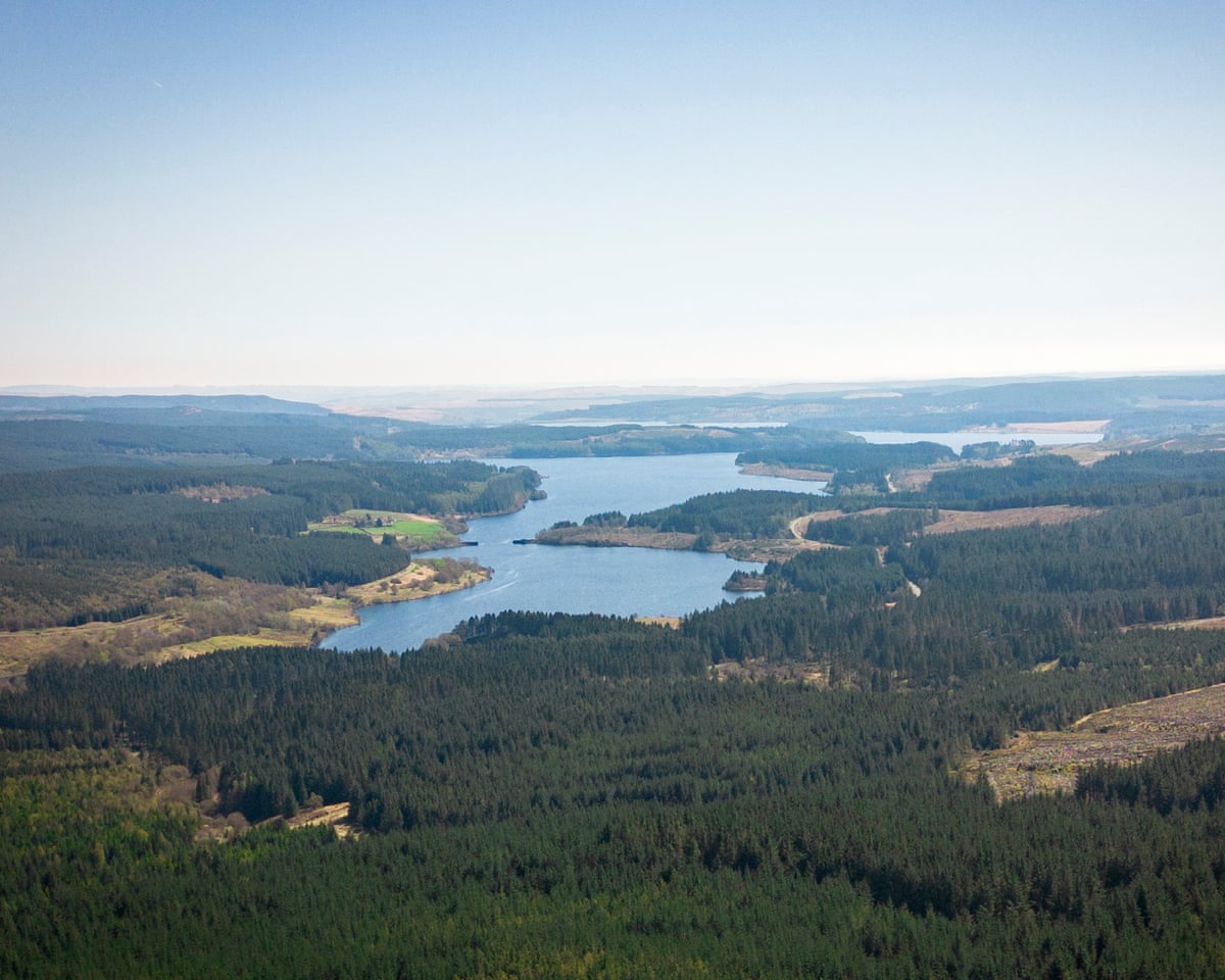 Drone's eye view of Kielder Forest showing forest and water
