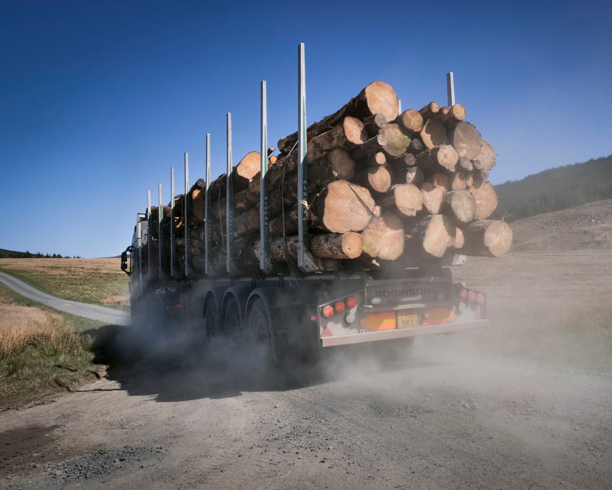 Truck with logs against blue sky